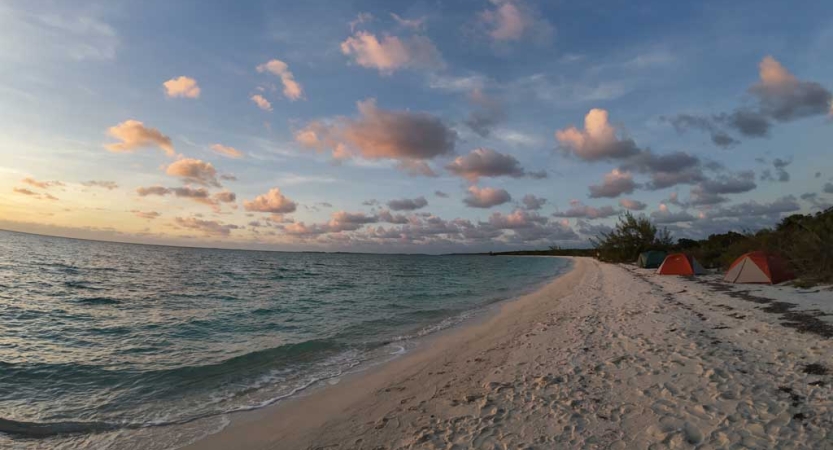 Tents rest on the white sand of a beach beside blue water. 